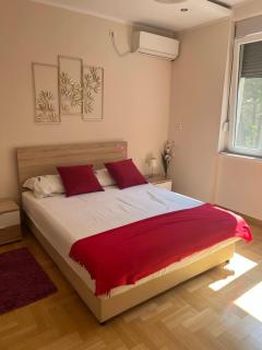 Orchid House - Belgrad - 8
