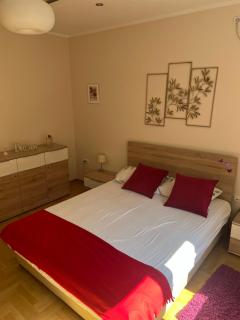 Orchid House - Belgrad - 6