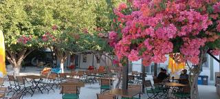Dut Selimiye - Marmaris - 6