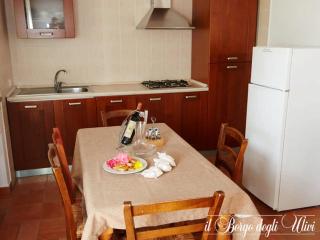 Agriturismo Il borgo degli ulivi - Pescia Romana - 0
