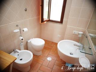 Agriturismo Il borgo degli ulivi - Pescia Romana - 3