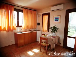 Agriturismo Il borgo degli ulivi - 1