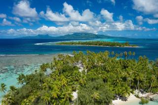 RAIATEA - Fare Apetahi - Uturoa - 0