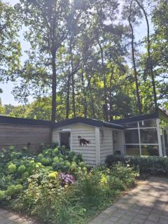 Chalet in Ursel - Aalter - 7