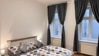 Apartmnet near IP Pavlova - Praga - 9