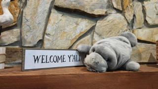 Cozy Cottage in Crystal River - 8