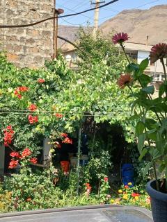 Shamb guest house - 9