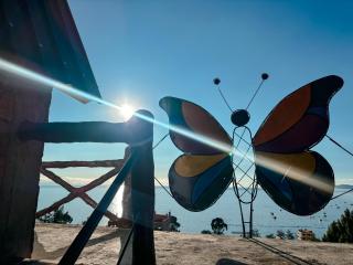 Hostal Sol y Lago - 1