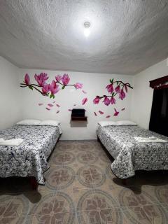 Posada TEO - 3