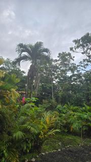 Iki Room with Jacuzzy - 3