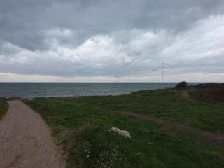 6 person holiday home in Gilleleje-By Traum - 1