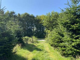 8 person holiday home in Hadsund-By Traum - 4