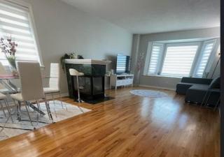 CICEKS Thornbury - 7