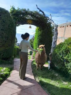 Hostal Sol y Lago - 5