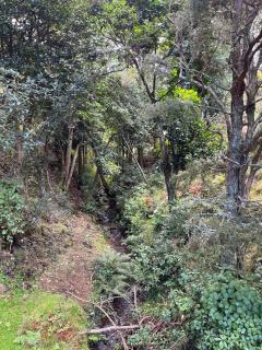Tiny house with harbour views - Tamaterau - 8