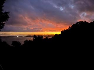 Tiny house with harbour views - Tamaterau - 5