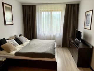 Havasi View Donovaly - 2 Bedrooms, Mountain View, Garage, 2 WC, Balcony, Dishwasher, Guitar, 164 cm TV, Netflix - 5