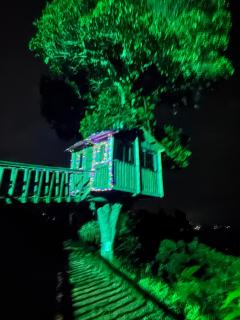 Luxury tree house at La meseta - 0