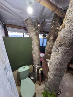 Luxury tree house at La meseta - 5