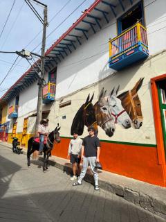 Luxury tree house at La meseta - 4