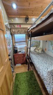 Squirrel House Room - Peachland - 0