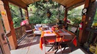 Squirrel House Room - Peachland - 3