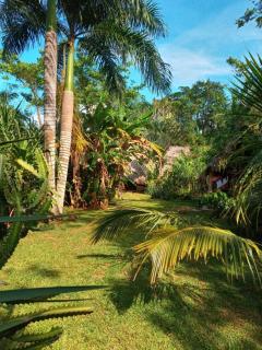 bungalows tropicaux Jardin exotique - Las Terrenas - 6