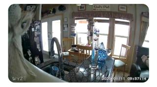 Squirrel House Room - Peachland - 2