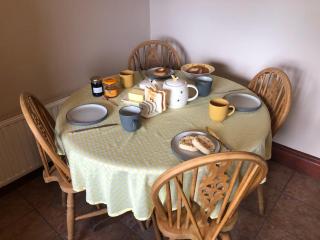 Mallard at Spring Head Farm - 6