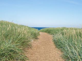 12 person holiday home in Harboøre-By Traum - 9