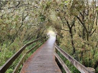 8 person holiday home in Store Fuglede-By Traum - 4