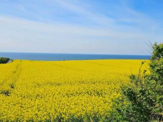 8 person holiday home in Store Fuglede-By Traum - 2