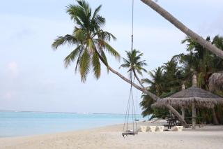 Pamera Thoddoo - 3