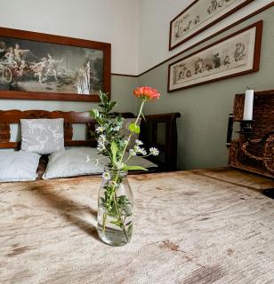 Historic Forester's House In Monastery Forest - 4