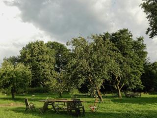 Apartment In A Historic Manor House In Mecklenburg - 4