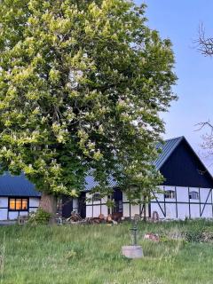 Renovated Scanian Farmhouse With Two Studios - 7