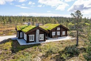 Neighbour Cabins For Groups At Vegglifjell - Veggli - 0
