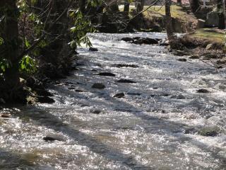 Jonathan Creek Inn and Villas - Maggie Valley - 7