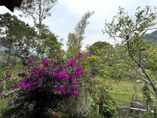 Cabaña de Ensueño - 9