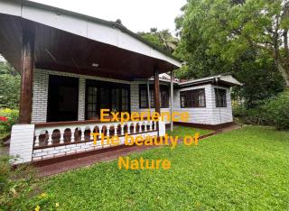 Kandy Nature Breeze Homestay - Kandy - 9