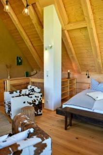 Log Cabins In The Upper Harz Mountains - 1