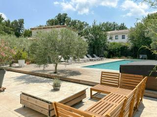 Modern Provençal Villa At The Forest's Edge - 1