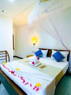 Sigiri Rew Haven - 5