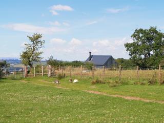 Llandremor Fawr Lodge - Uk50336 - - 2