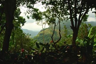 Bliss In Viya - Ella - 9