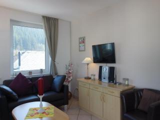 Apartment in Willingen mit Balkon - 1