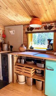 Forest Cabin Near Trillevallen Ski Resort - 5