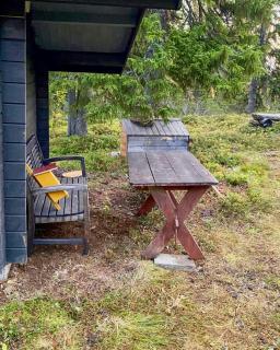 Forest Cabin Near Trillevallen Ski Resort - 2