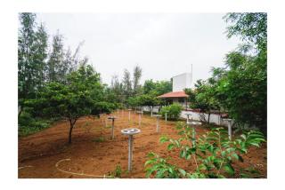 Vetha farm - - 1