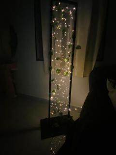 Heritage homestay - 9